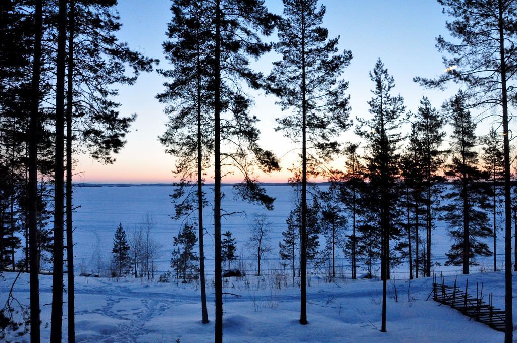 Kolinpilvi Villa Kolinkylä Oda fotoğraf